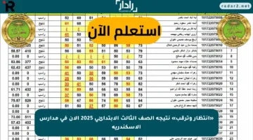 «انتظار وترقب» نتيجة الصف الثالث الابتدائي 2025 الآن في مدارس الإسكندرية